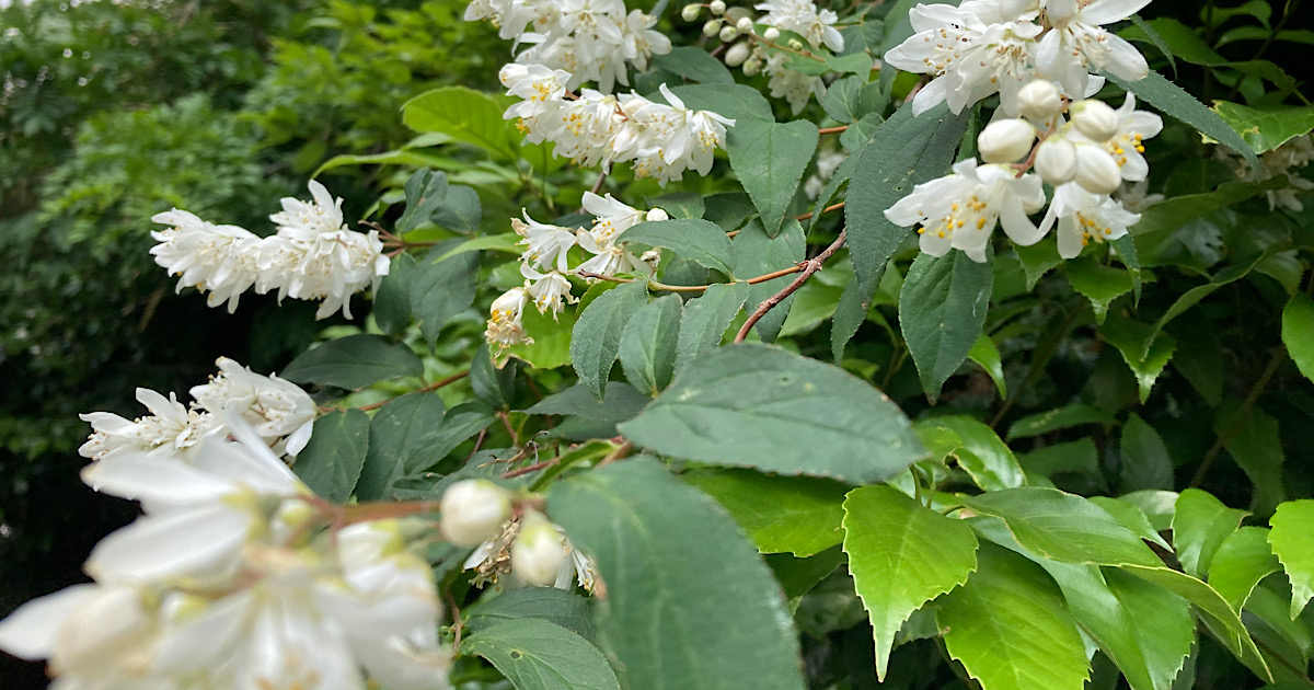 今年も心が揺れ動いた1年だった。変化と気づきを振り返って