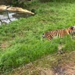 隙間バイトを７か月目続けて分かったメリット・デメリット｜体調に合わせて働けた理由