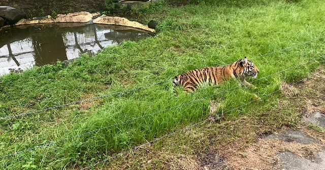 隙間バイトを７か月目続けて分かったメリット・デメリット｜体調に合わせて働けた理由